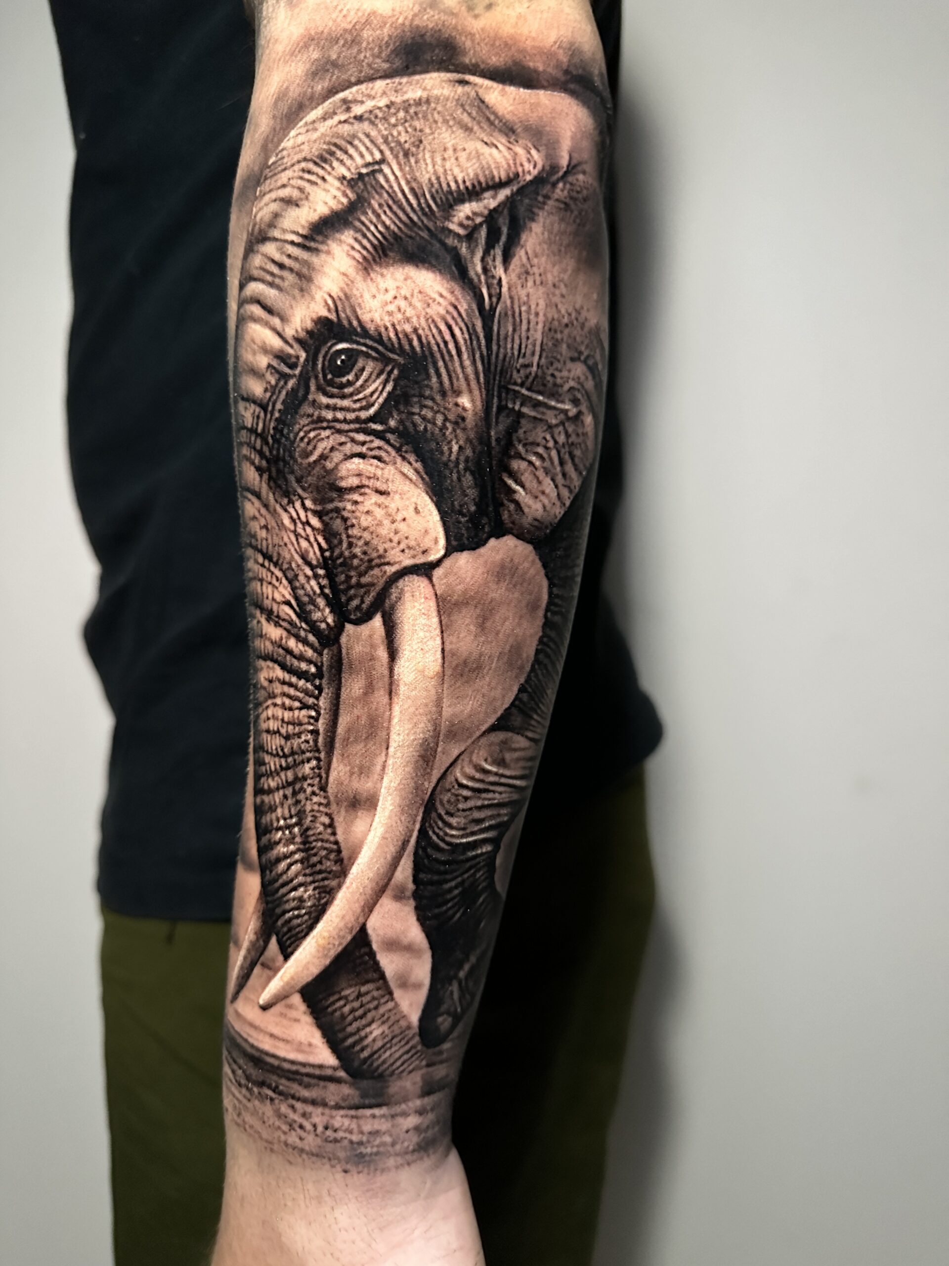 IMG_8527-scaled.jpg